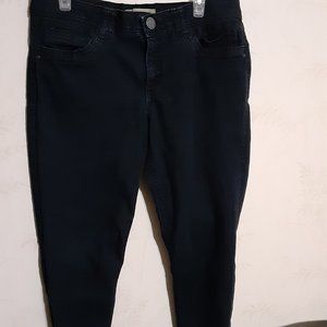 Democracy Women's Ab Technology Crop Ankle Skinny Jeans in Size 14 B1304XXSL